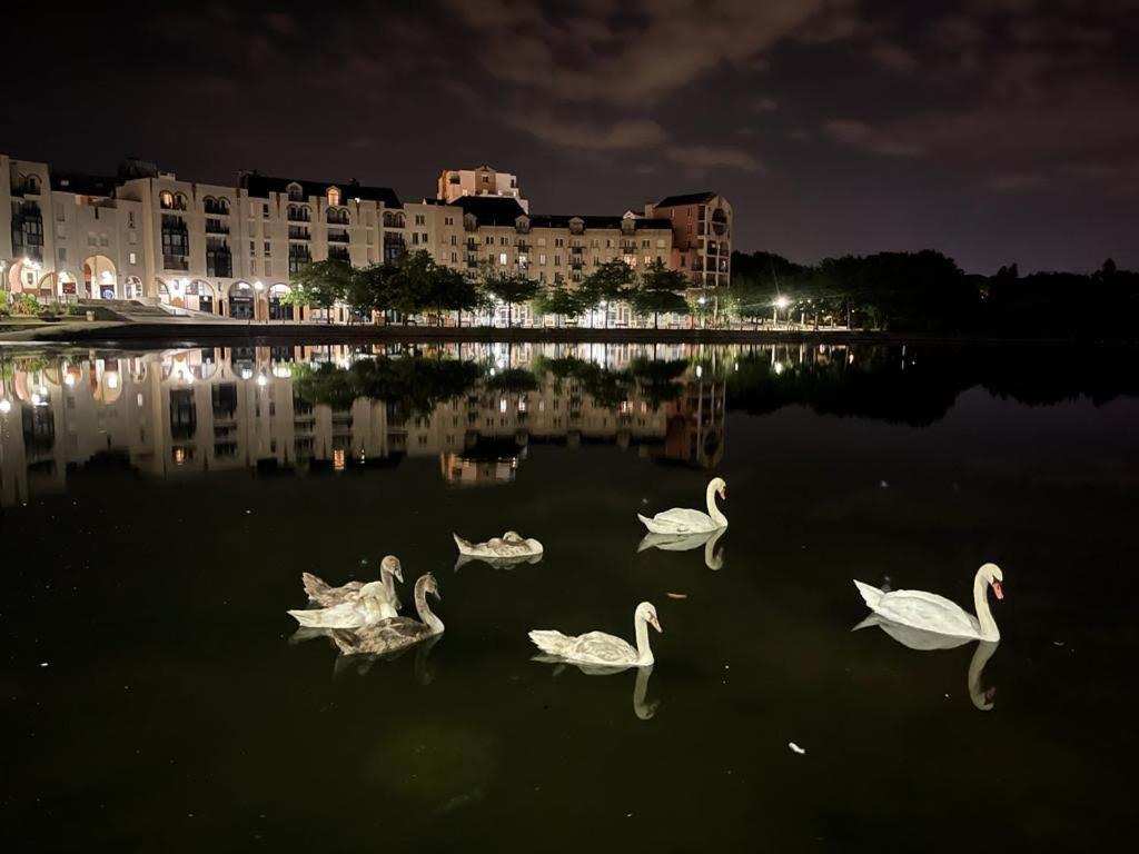 Vue Exceptionnelle Sur Le Lac كْرُتييّ المظهر الخارجي الصورة