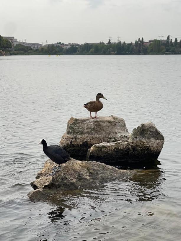 Vue Exceptionnelle Sur Le Lac كْرُتييّ المظهر الخارجي الصورة